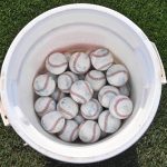 College baseball game briefly paused after pelican gets stuck in net